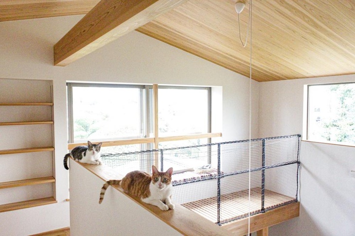 000007.jpg